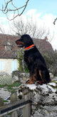 Jean-Paul